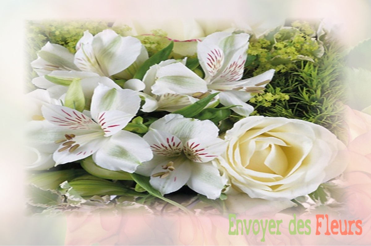 envoyer des fleurs à à SAVIGNAC-DE-NONTRON